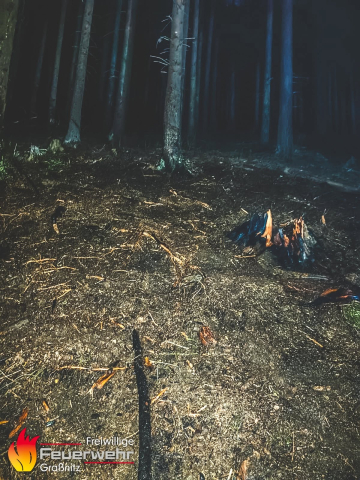 Waldbrand im Thörlgraben/Strohsitz