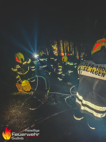 Waldbrand im Thörlgraben/Strohsitz