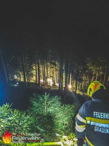 Waldbrand im Thörlgraben/Strohsitz