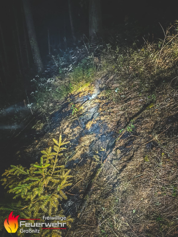 Waldbrand im Thörlgraben/Strohsitz