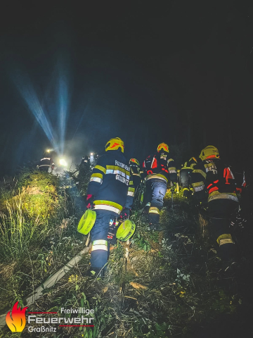 Waldbrand im Thörlgraben/Strohsitz