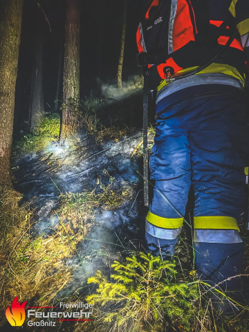 Waldbrand im Thörlgraben/Strohsitz