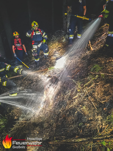 Waldbrand im Thörlgraben/Strohsitz
