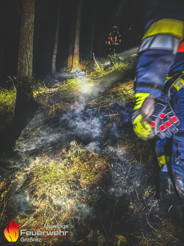 Waldbrand im Thörlgraben/Strohsitz
