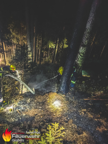 Waldbrand im Thörlgraben/Strohsitz