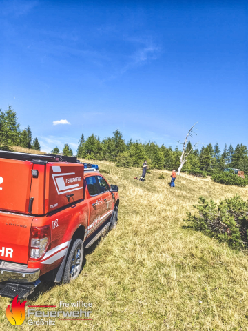 Waldbrände & Verkehrsunfall