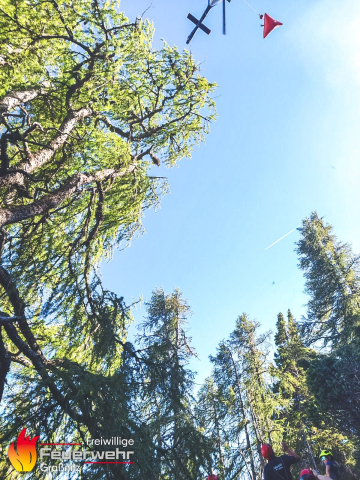 Waldbrände & Verkehrsunfall